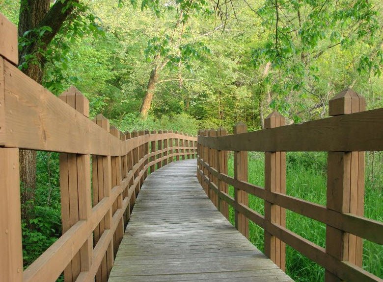 Wallace State Park, Missouri, USA